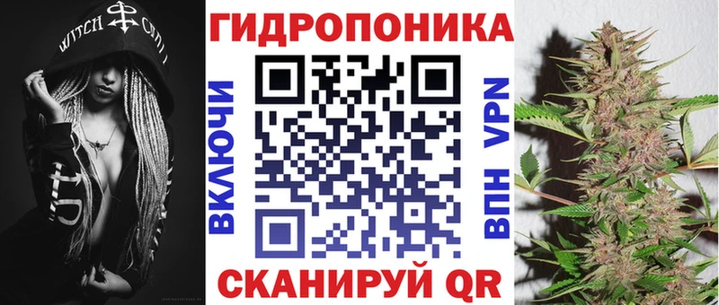 Бошки марихуана планчик  ссылка на мегу вход  Западная Двина 